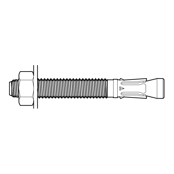 Wedge Anchor M10